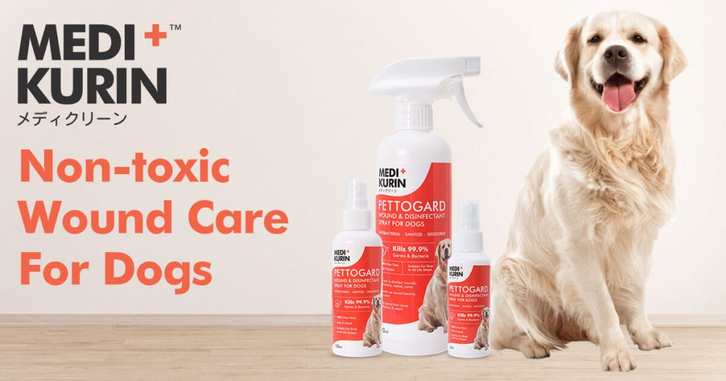 5 Things Owners Need to Know about Pet Hygiene MEDI+KURIN