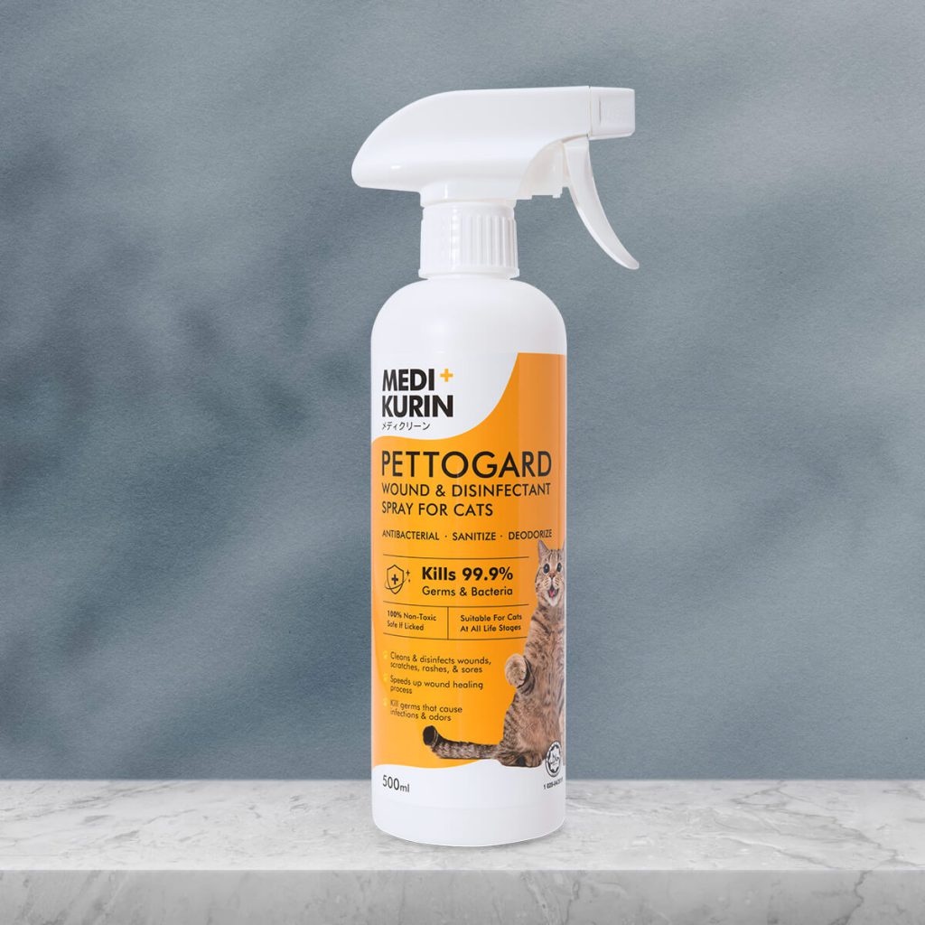 Disinfection Spray Gun MEDIKURIN