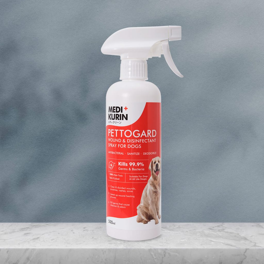 Can Lysol Kill A Dog