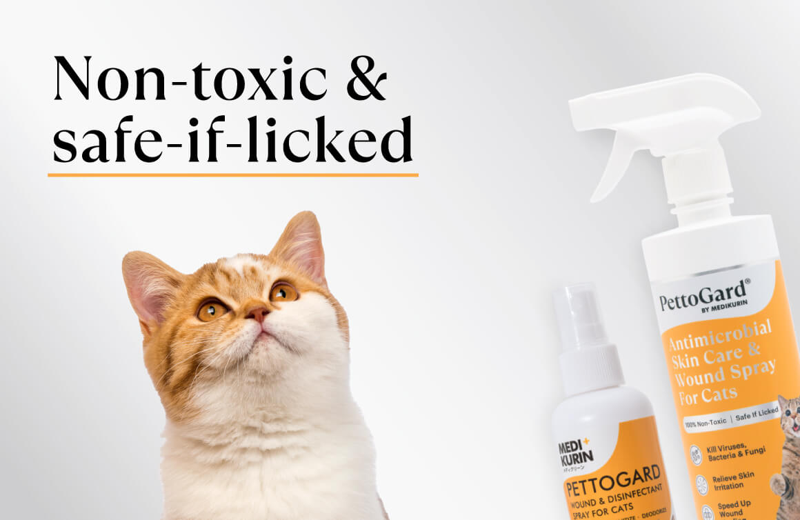 Antibacterial spray hotsell for cats