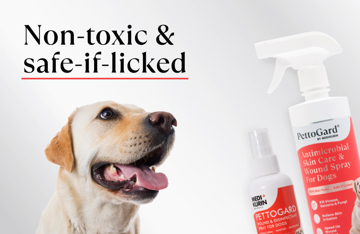 PettoGard Antimicrobial Skincare & Wound Spray for Dogs is Non-toxic and Safe if Licked