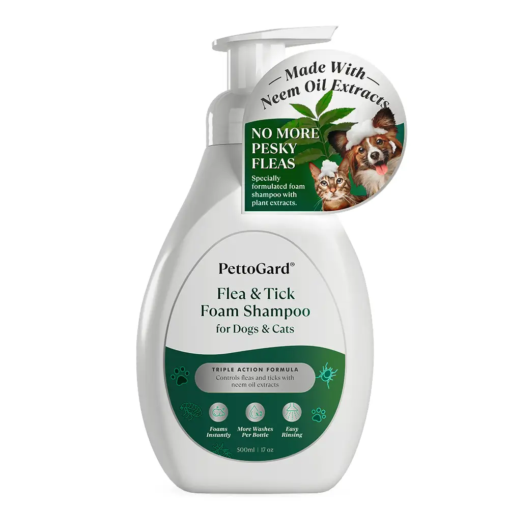 pettogard-2025-flea-&-tick-foam-shampoo-for-dogs-&-cats-front-500ml PettoGard Flea & Tick Foam Shampoo for Dogs & Cats 500ml
