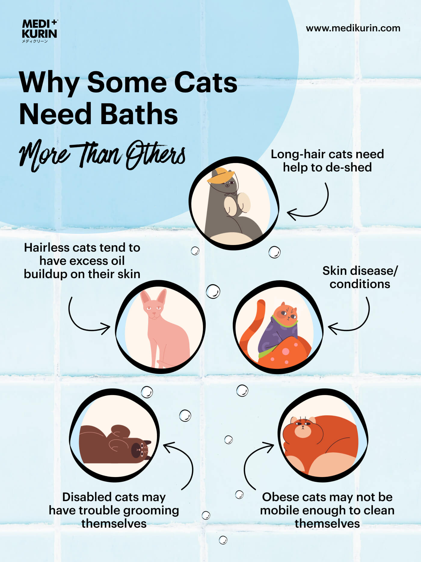Why Some Cat's Breed need Baths More Than Others