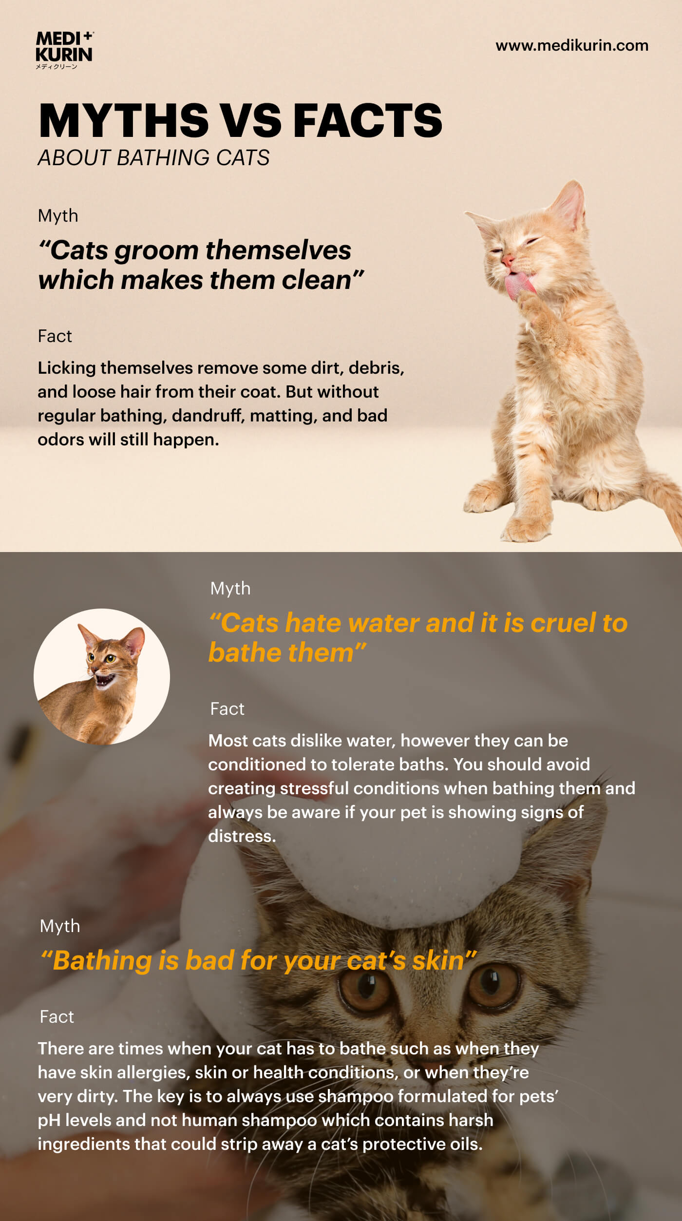 Myths and Facts About Bathing Cats