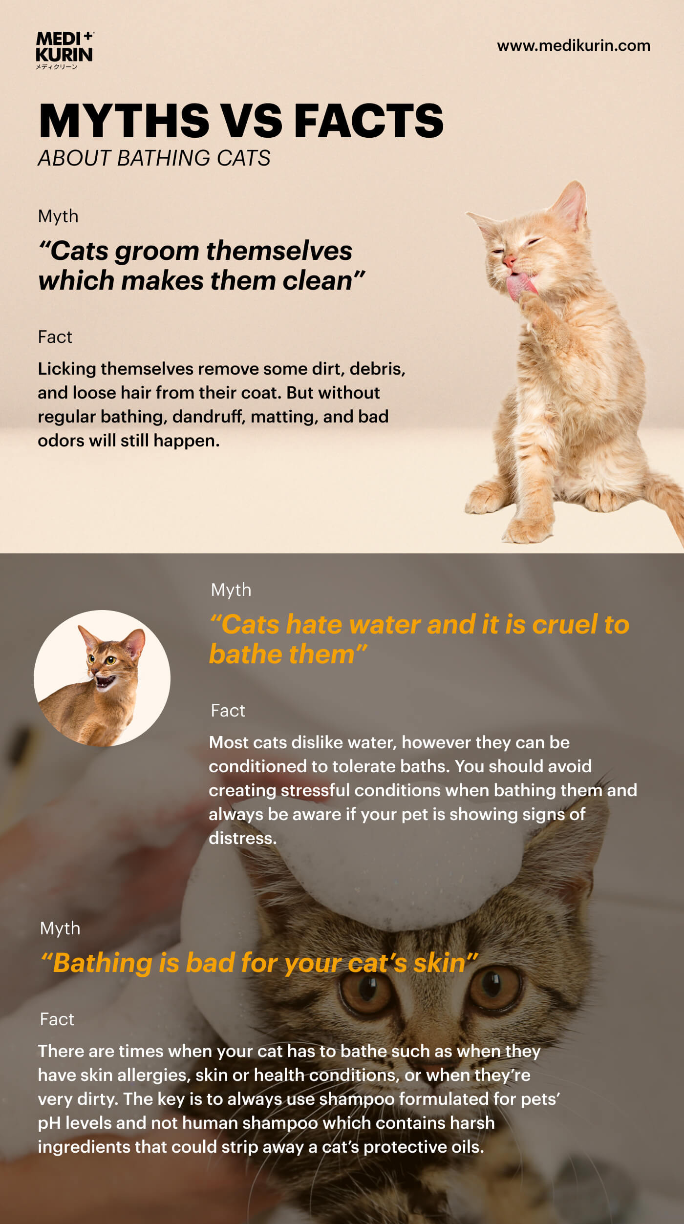 Why When You Should Give Your Cats A Bath MEDIKURIN