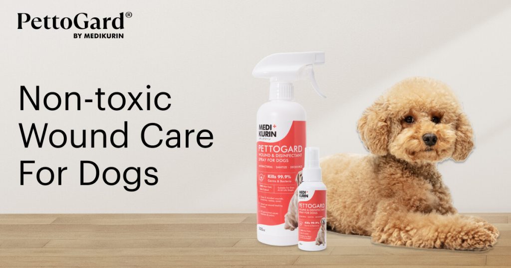 How to Treat and Prevent Paw Redness For Dogs MEDIKURIN