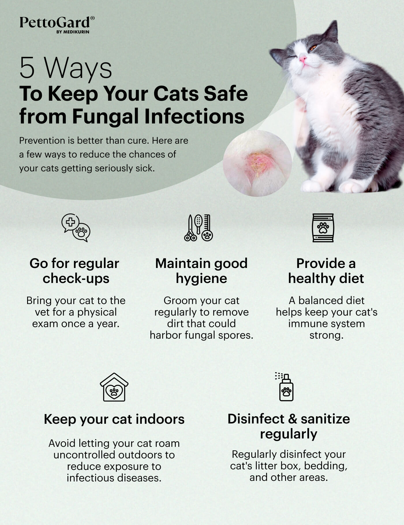 MEDIKURIN PettoGard 5 Ways To Keep Your Cats Safe From Fungal Infection
