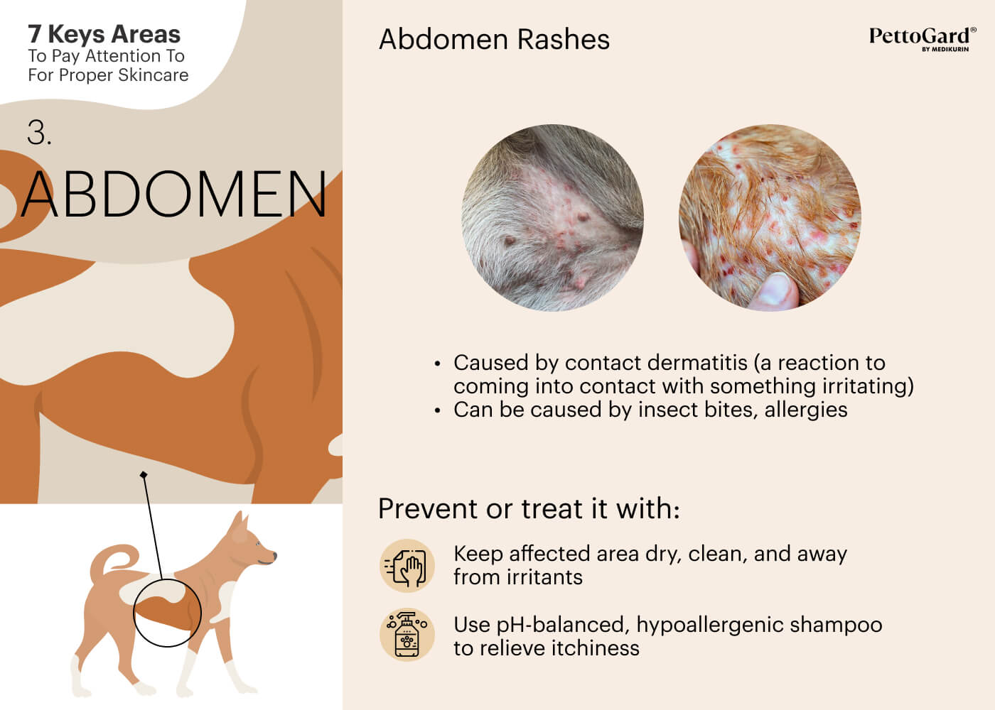 MEDIKURIN PettoGard Pet Abdomen Area Skincare Tips