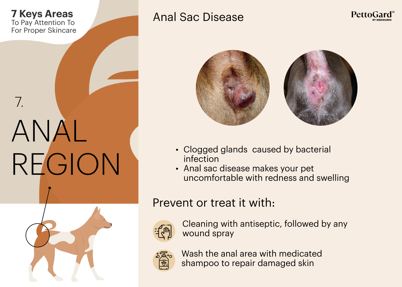 MEDIKURIN PettoGard Pet Anal Region Area Skincare Tips