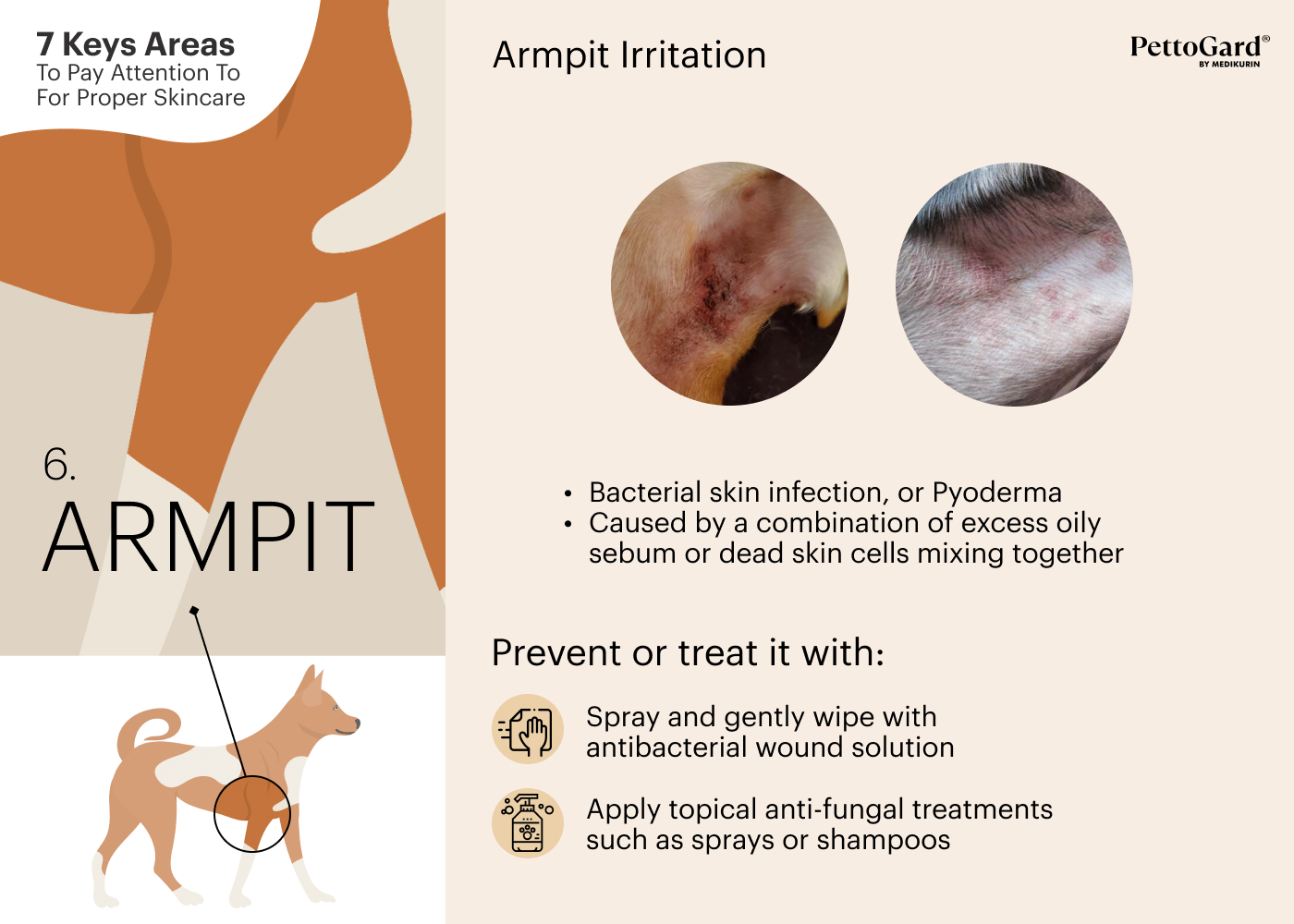 MEDIKURIN PettoGard Pet Armpit Area Skincare Tips