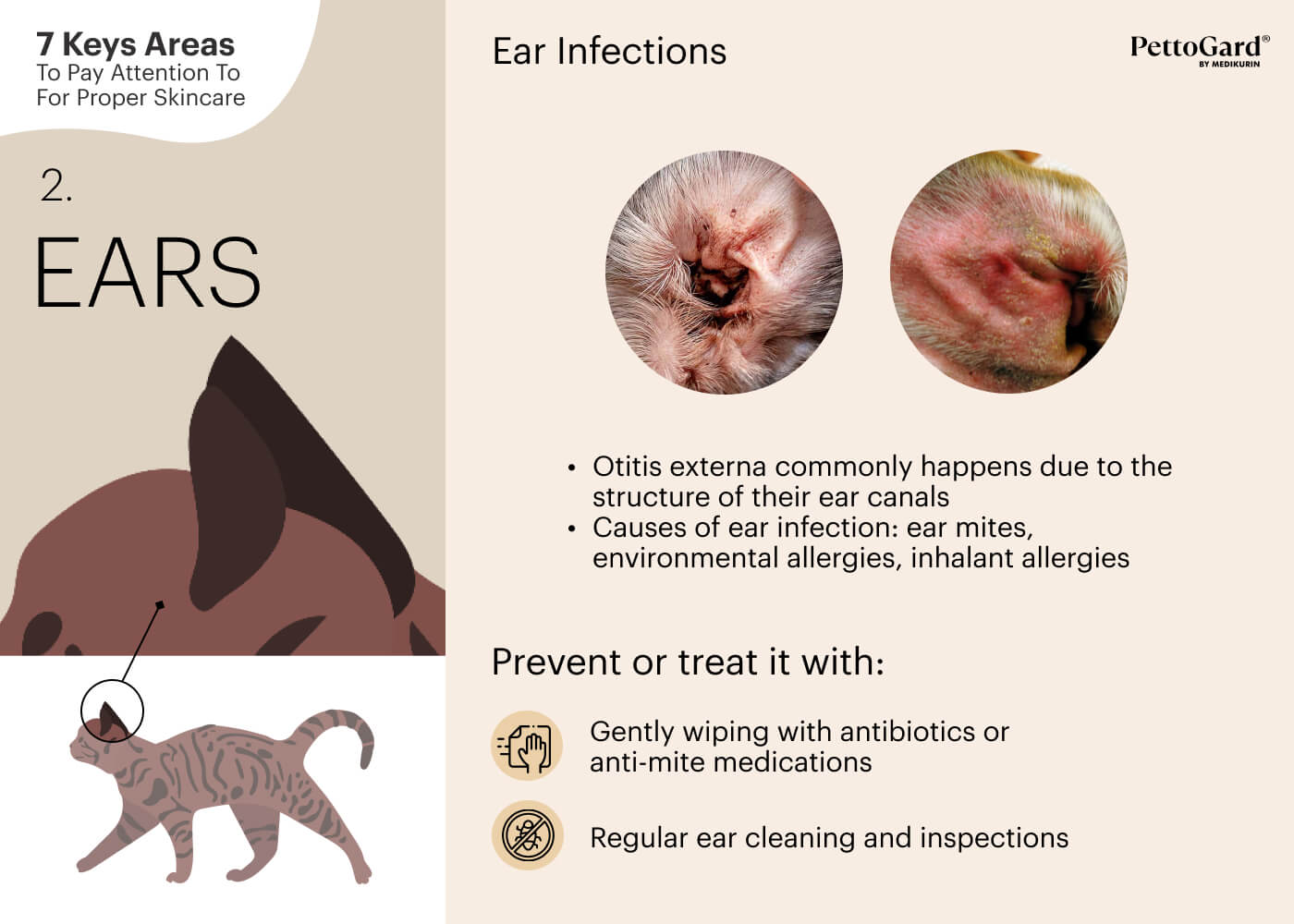 MEDIKURIN PettoGard Pet Ears Area Skincare Tips