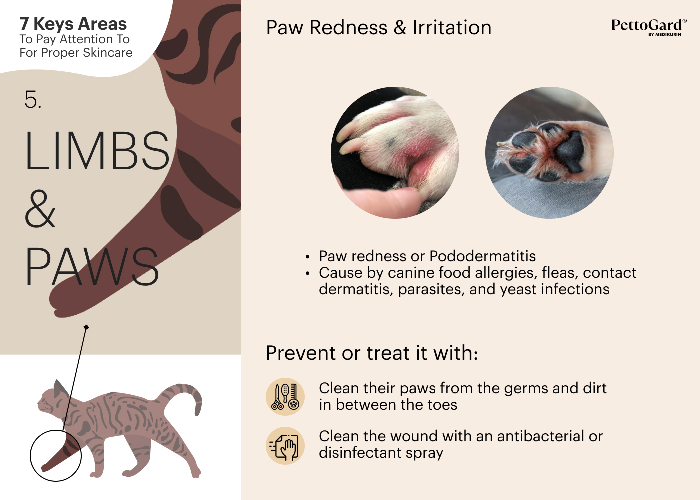 MEDIKURIN PettoGard Pet Limbs and Paws Area Skincare Tips