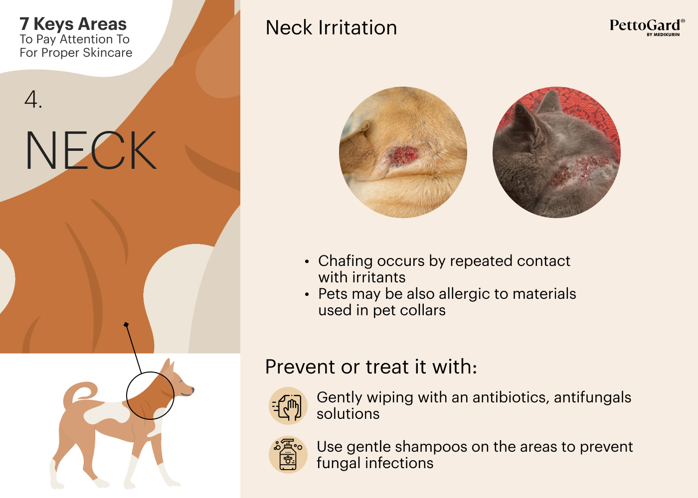 MEDIKURIN PettoGard Pet Neck Area Skincare Tips