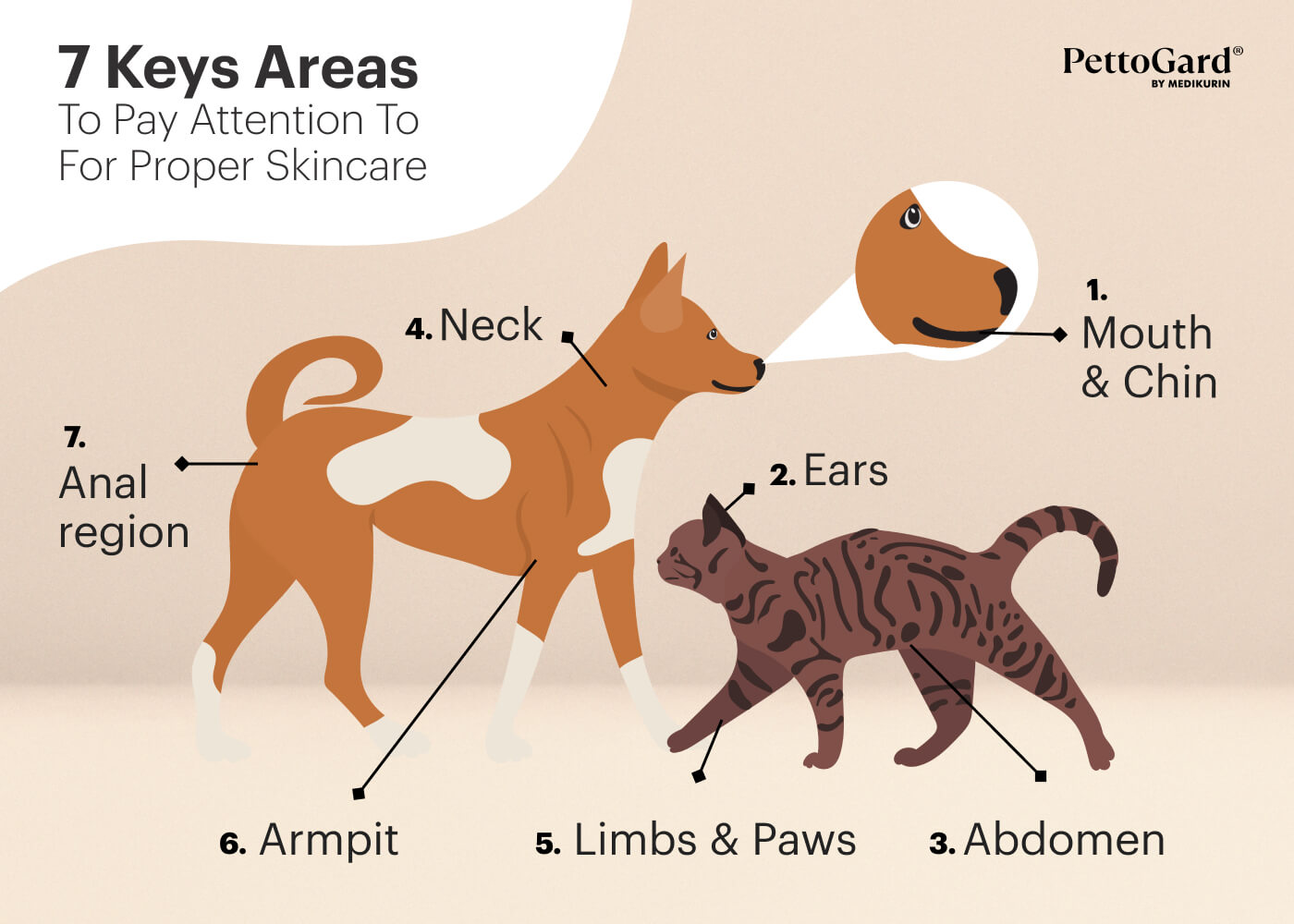 MEDIKURIN PettoGard Pet Areas Skincare Tips