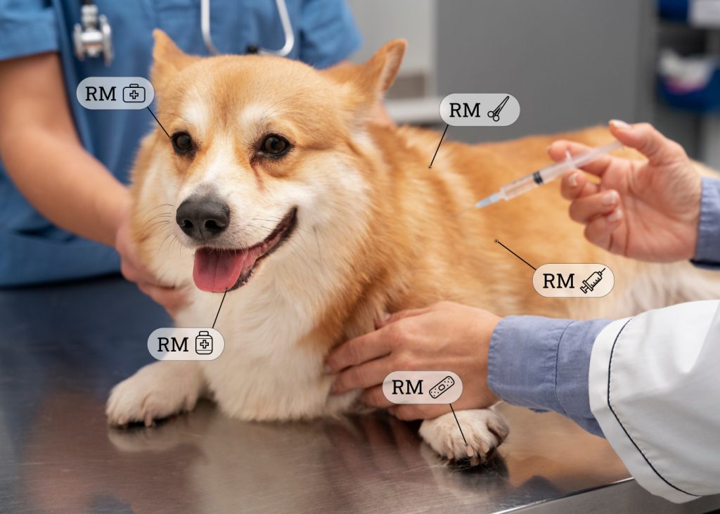 Medikurin Oyen Pet Insurance Thumbnail