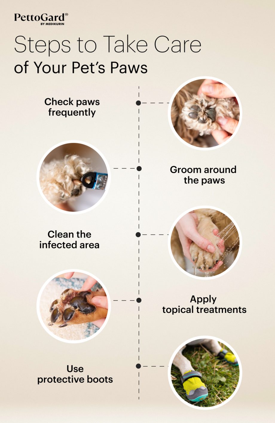 How to Treat and Prevent Paw Redness For Dogs MEDIKURIN