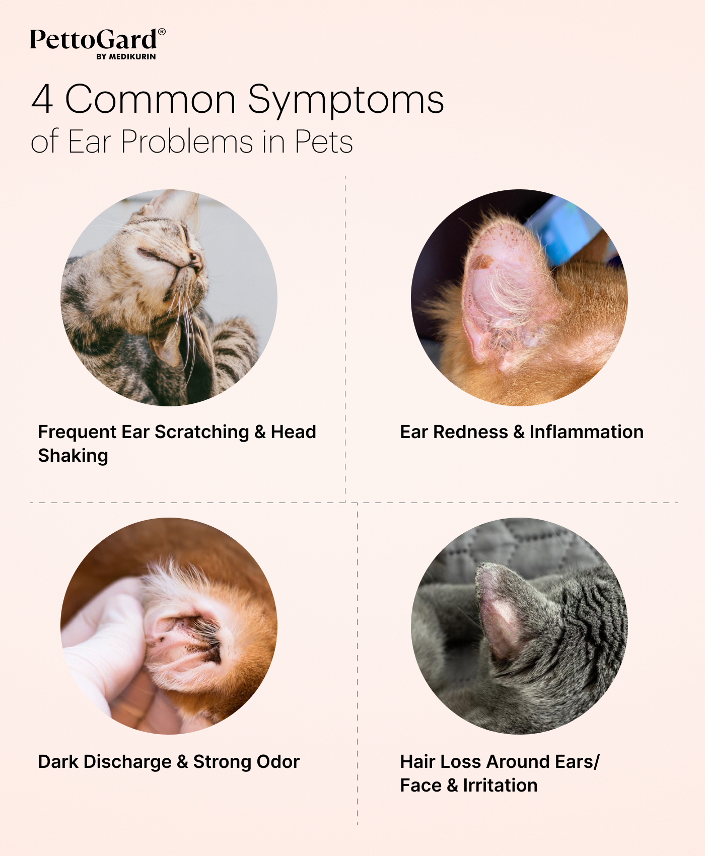 MEDIKURIN PettoGard Common Ear Problem Symptoms for Pets