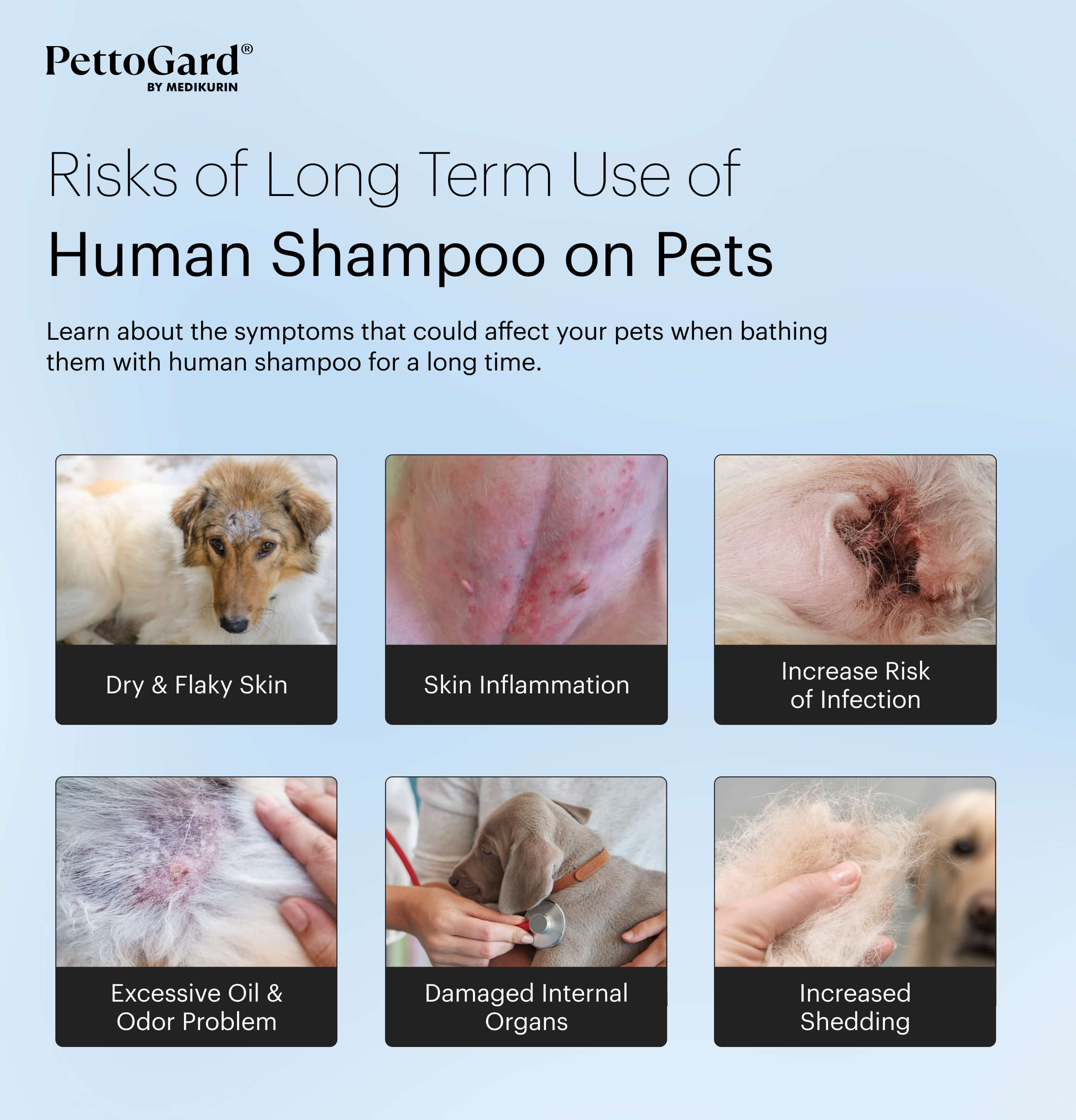 MEDIKURIN PettoGard Side Effect Of Using Human Shampoo on Pets