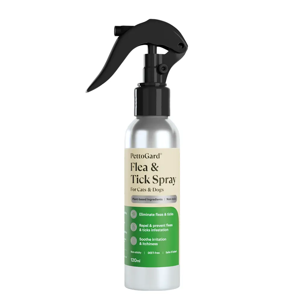pettogard-2025-flea-&-tick-spray-for-cats-&-dogs PettoGard Flea & Tick Spray for Cats & Dogs