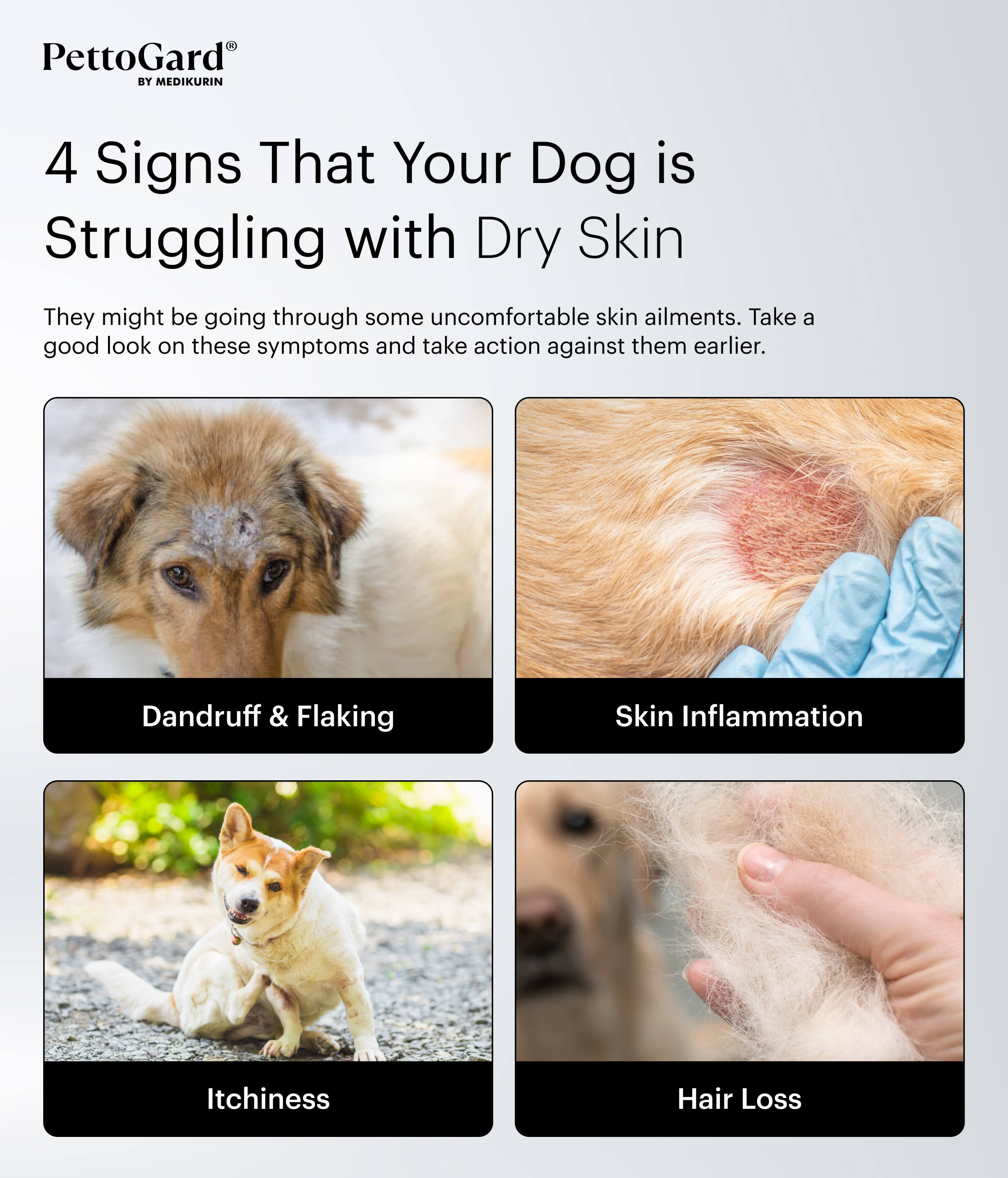 PettoGard Symptoms of Dry and Flaky Skin