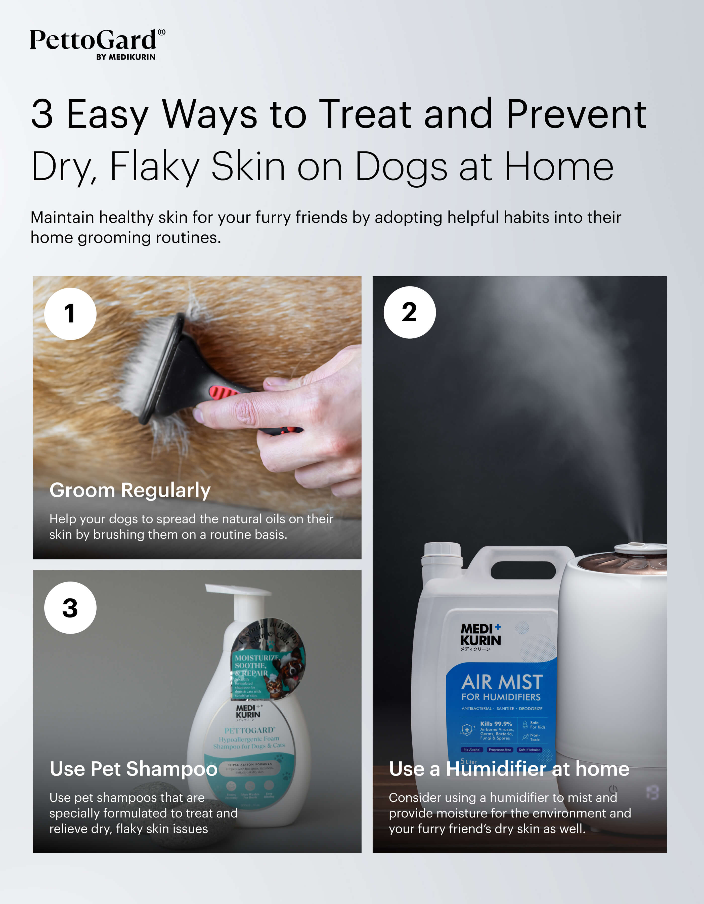 PettoGard 3 Simple Steps to Prevent Dry and Flaky Skin on Dogs