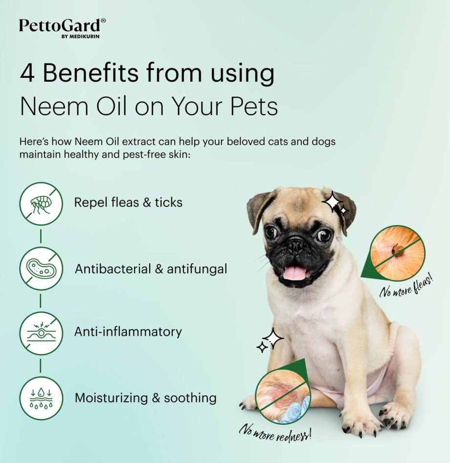 The Benefits of Neem for Pet Skin Conditions PettoGard