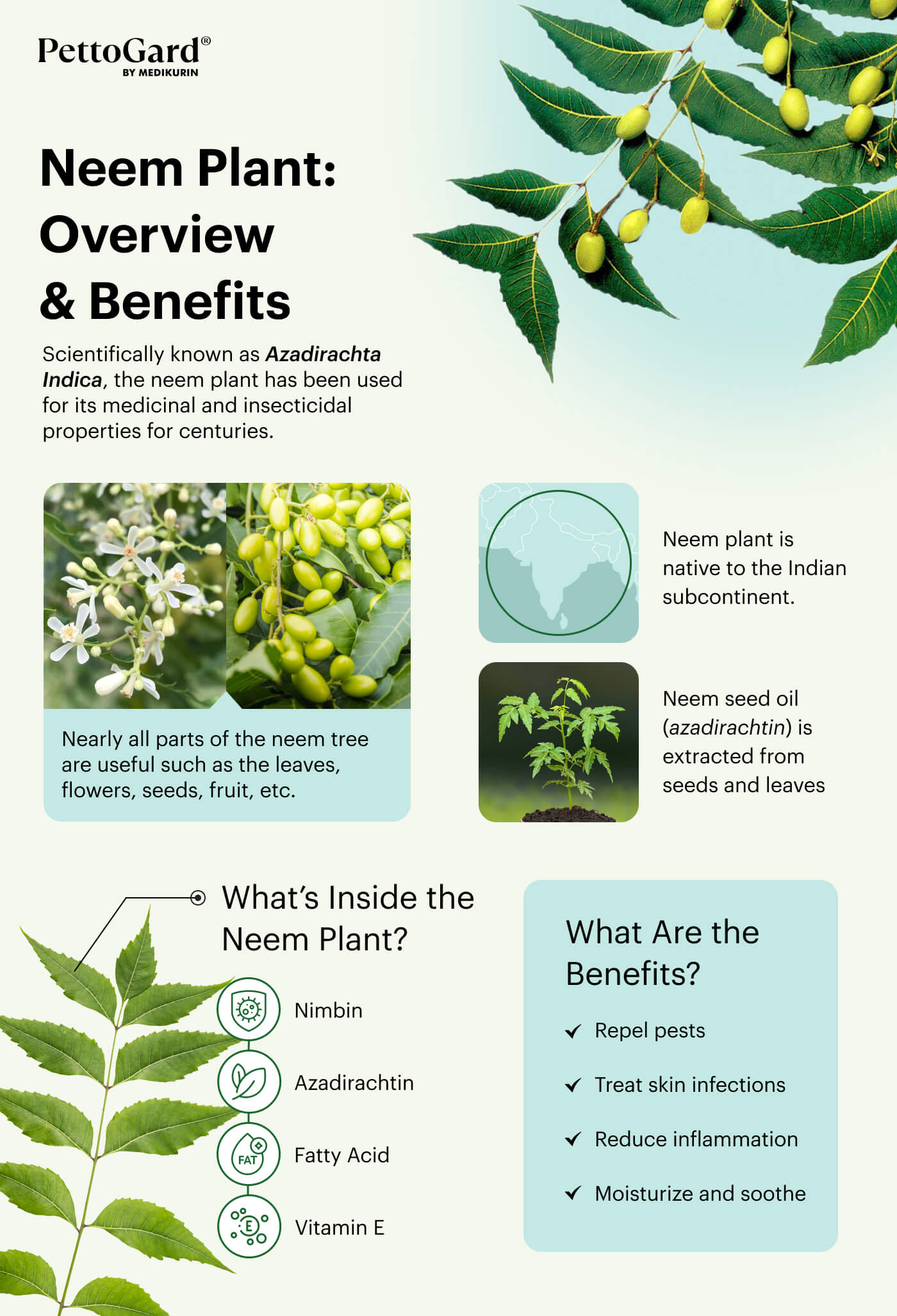 Overview of Neem oil and its benefits