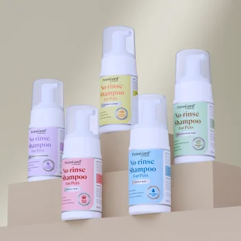 PettoGard No-rinse Shampoo for Cats & Dogs 100ml