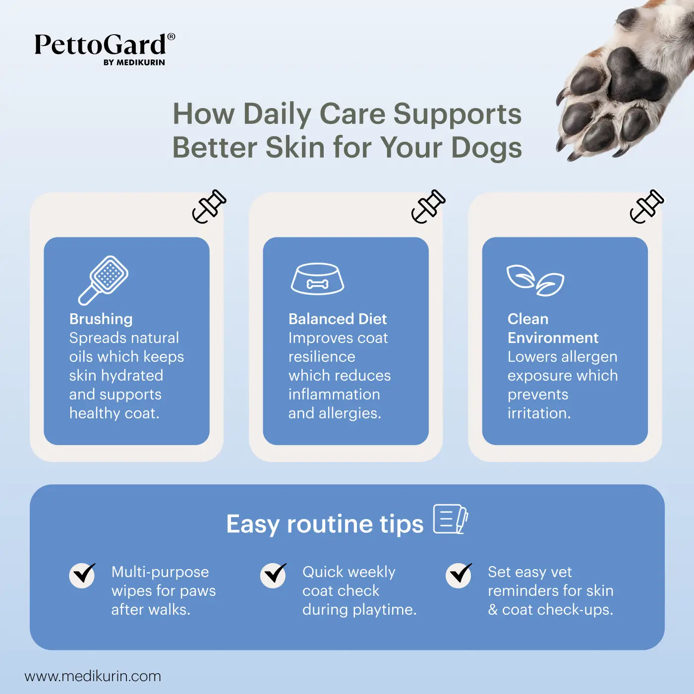 daily-care-supports-for-better-dog-skin