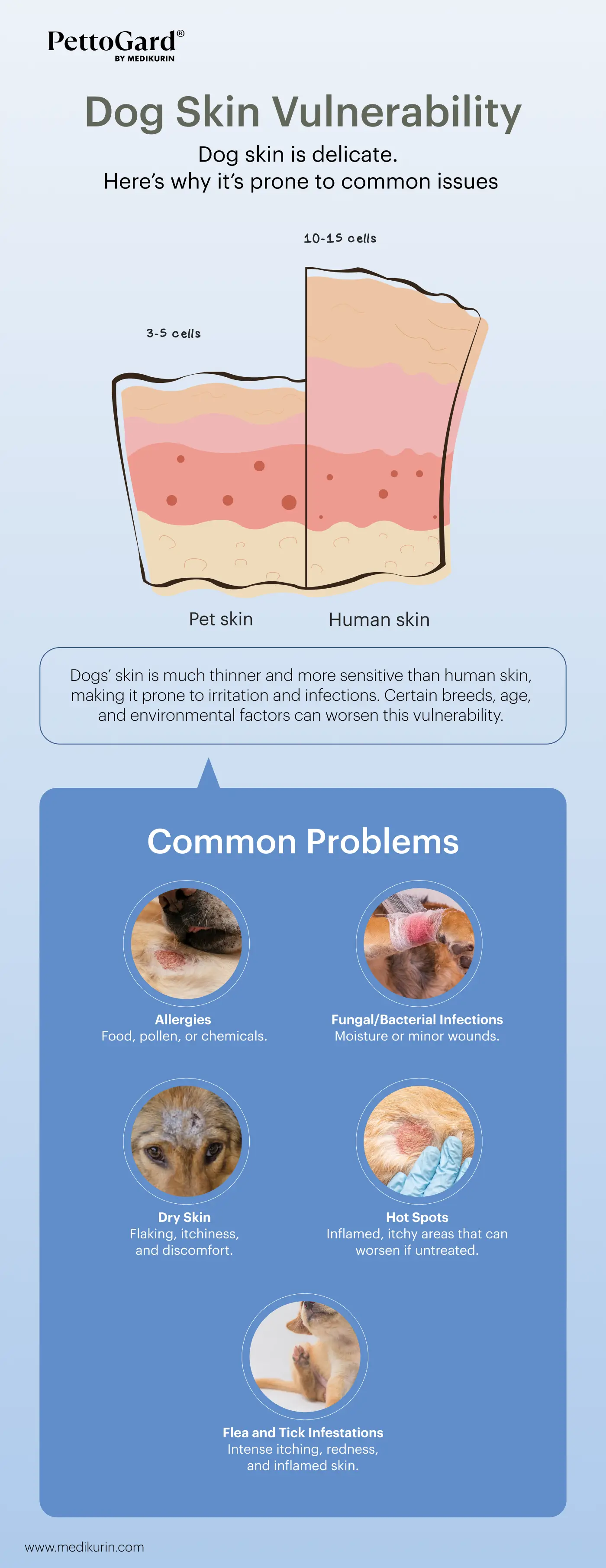 dog-skin-vulnerability-&-why