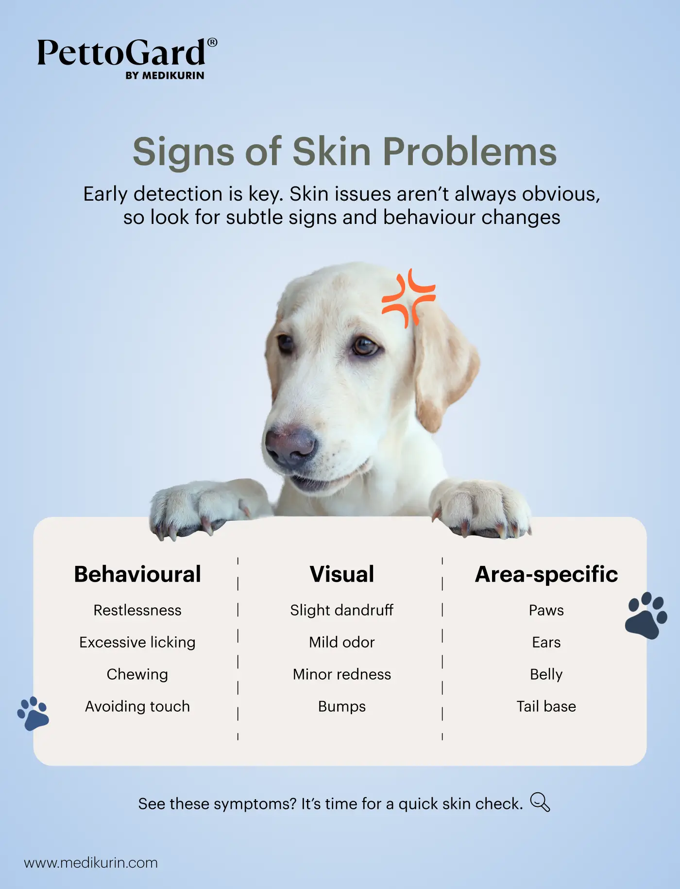 signs-of-dog-skin-problems